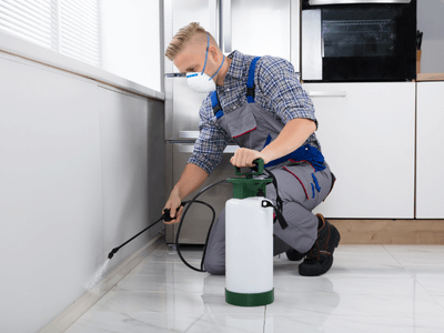 About Pest Control Berlin Nh - pest control experts in Berlin, Nh