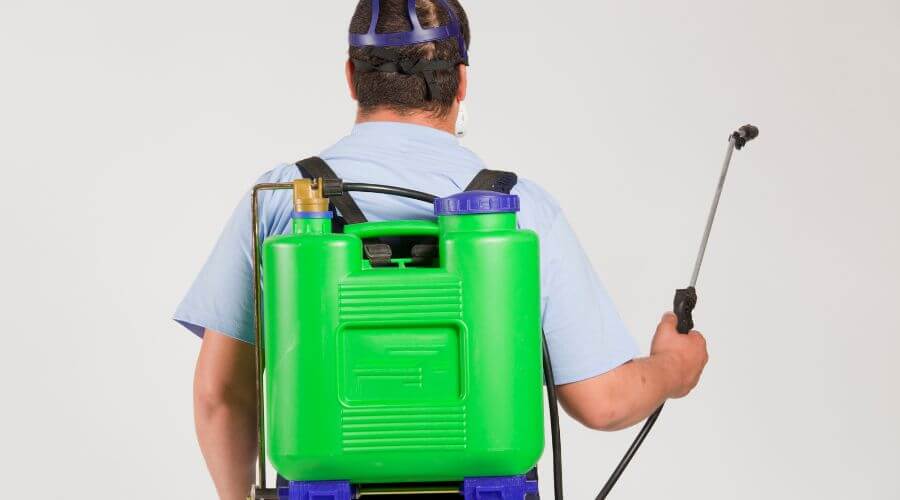 Why choose Pest Control Berlin Nh for pest control in Berlin, Nh
